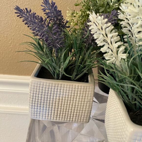 Faux Plants Lot of 5 Lavender in Ceramic Square Pots - Picture 3 of 11